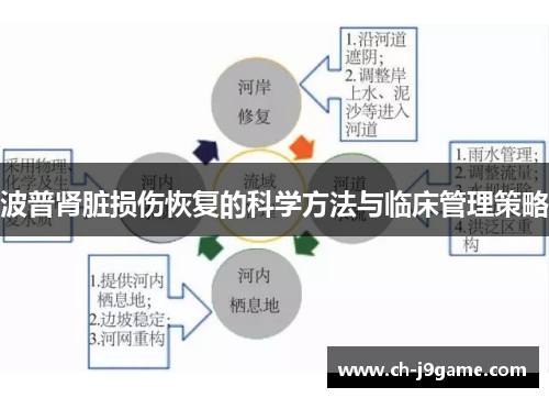 波普肾脏损伤恢复的科学方法与临床管理策略