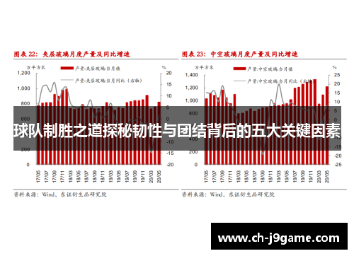 球队制胜之道探秘韧性与团结背后的五大关键因素