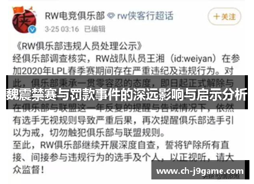 魏震禁赛与罚款事件的深远影响与启示分析