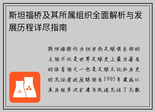 斯坦福桥及其所属组织全面解析与发展历程详尽指南